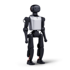 Robot humanoide FF Master Mini Pro
