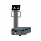 Robot de livraison industriel Alpha Panda AMR F300