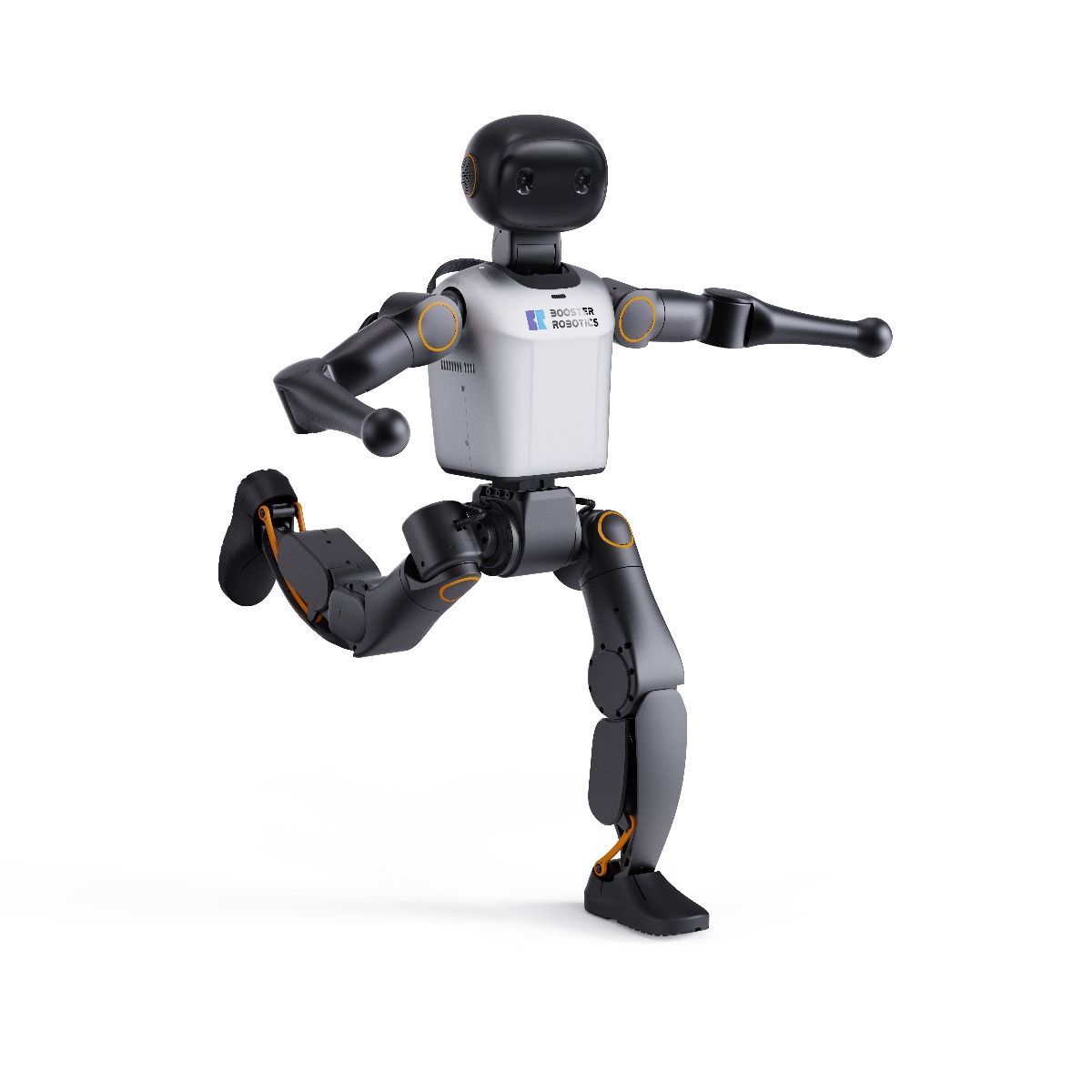 Booster Robotics K1 Professional Edition Humanoid Robot