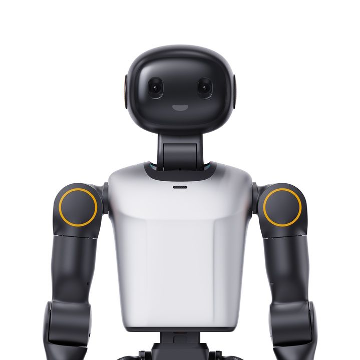 Booster Robotics K1 Geek Edition Humanoid Robot