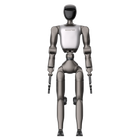 Booster T2 Professional P2 humanoid robot