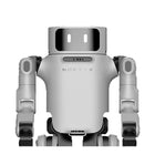 Robot umanoide universale Noetix Dora