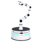 Realman Robotics RMC-BA Verbundroboter